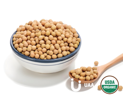 Organic Soybean Protein Concentrated