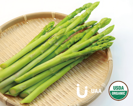 Asparagus Powder/Extract