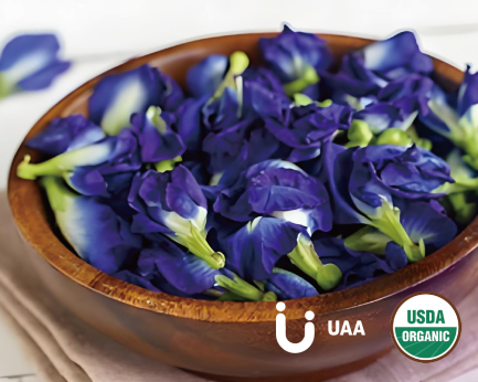 Butterfly Pea Flower (Powder, Extract)