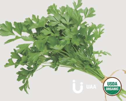 Organic Parsley Leaf Powder