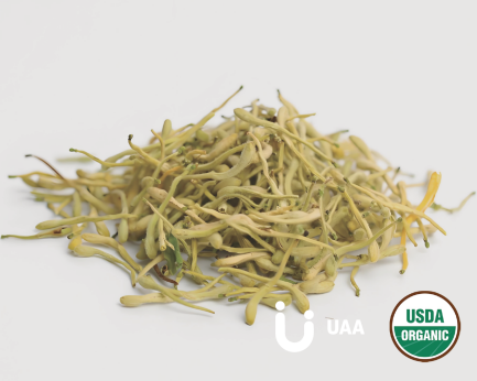 Honeysuckle flower Extract/Powder