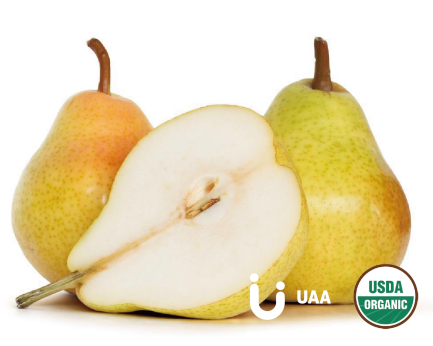 Organic Pear Powder/Extract