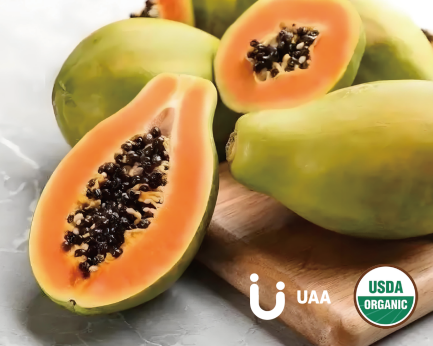 Organic Papaya Powder/Extract