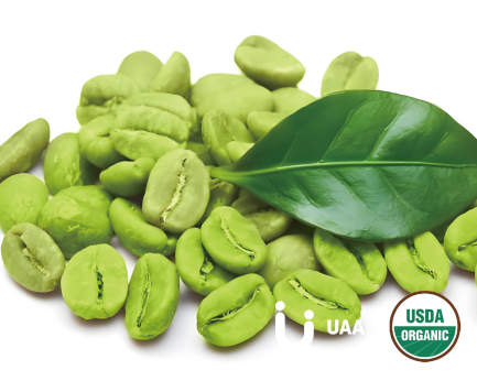 Green Coffee Bean Extract