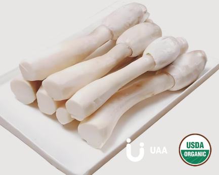 Organic Shaggy Mane mushroom ( Coprinus comatus ) Powder/Extract