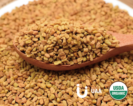 Fenugreek Seed Powder/Extract
