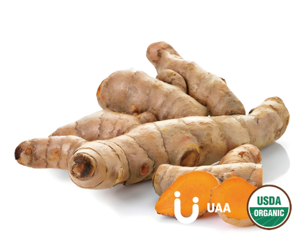 Organic Turmeric (Curcuma longa) Powder/Extract