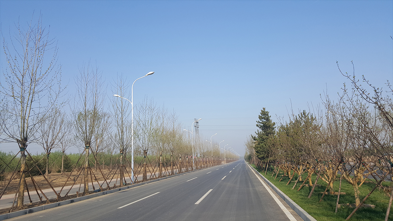 任丘市淀中路道路工程—照明工程