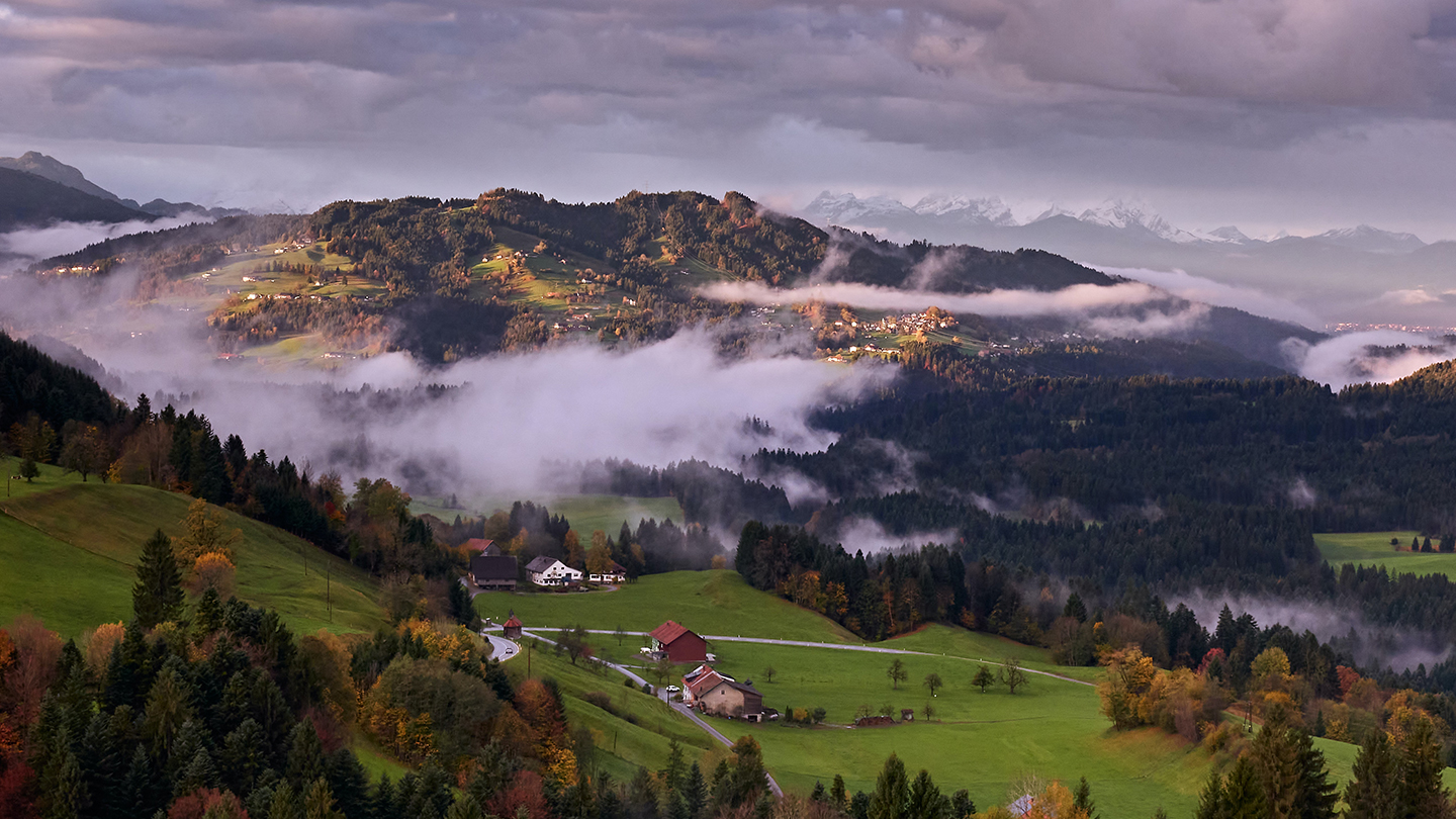 河北兴隆科学设置候鸟观察点