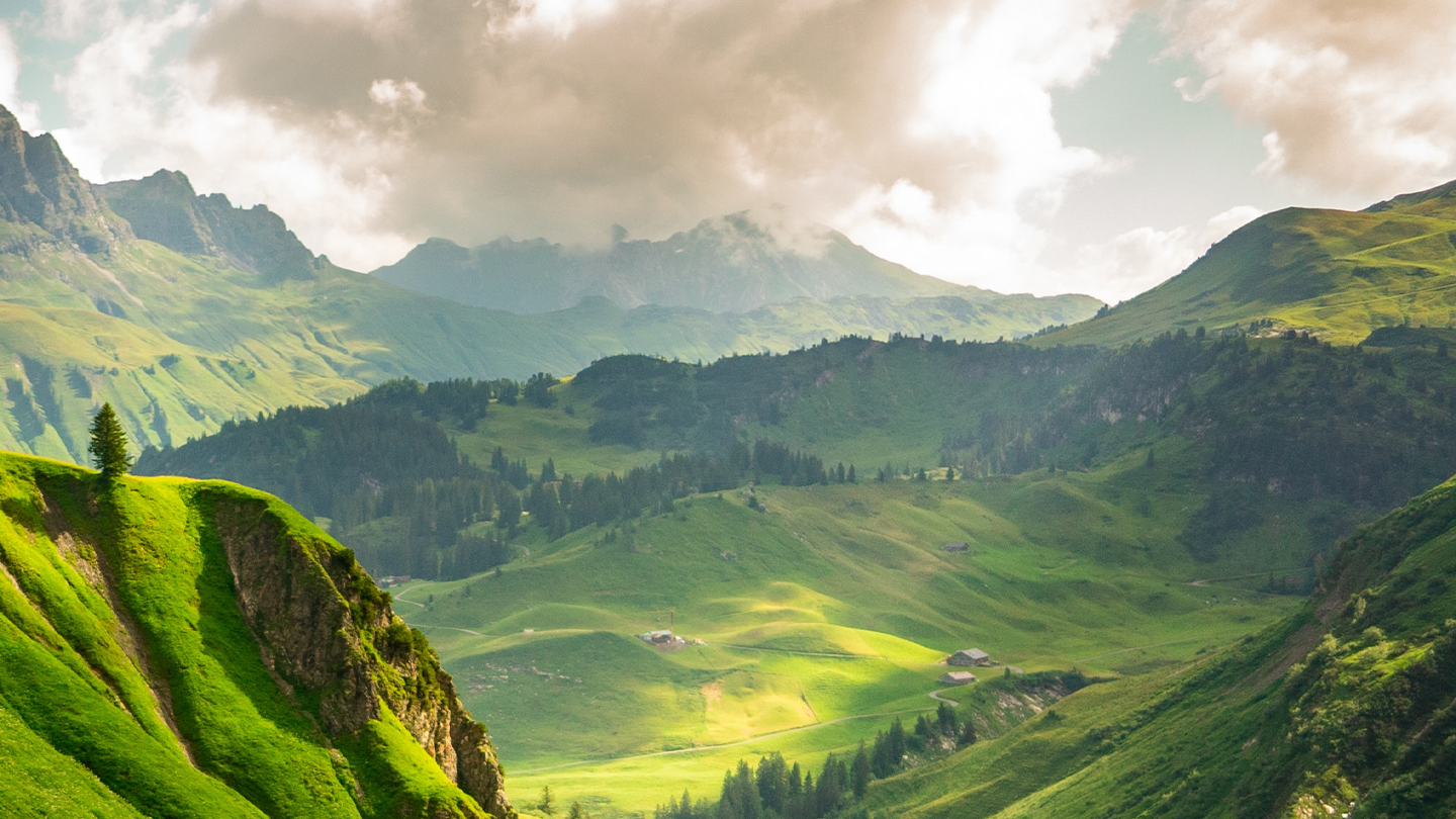 “口感西红柿”映“红”群众好日子