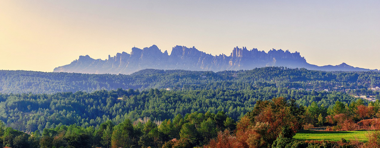 源自首都 服务人民 链接全球