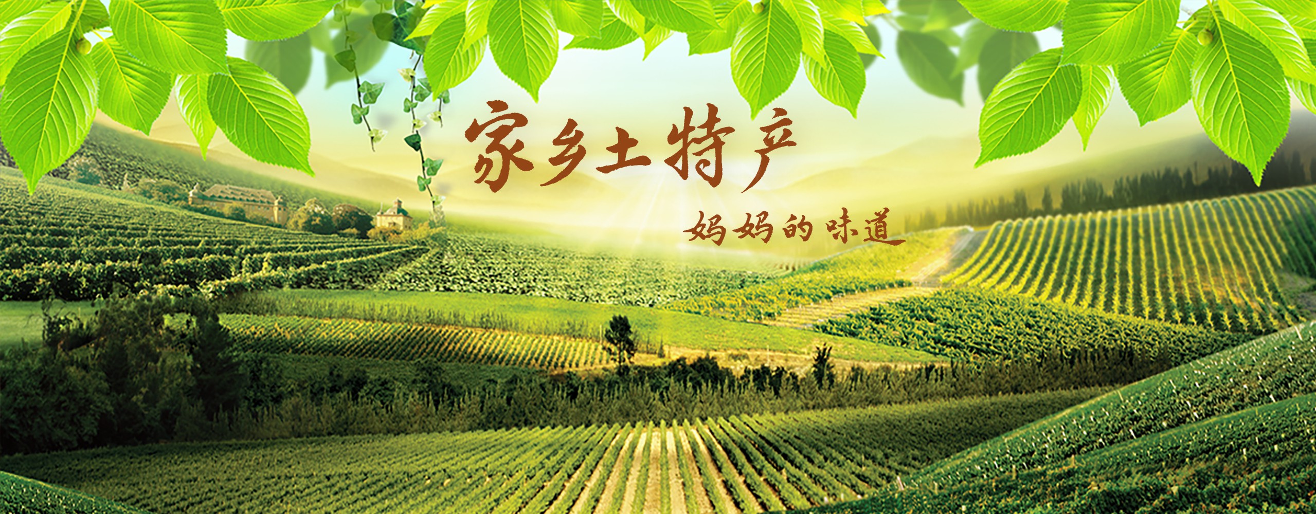 家乡土特产