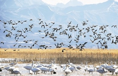 生态环保产业：为绿色经济发展保驾护航