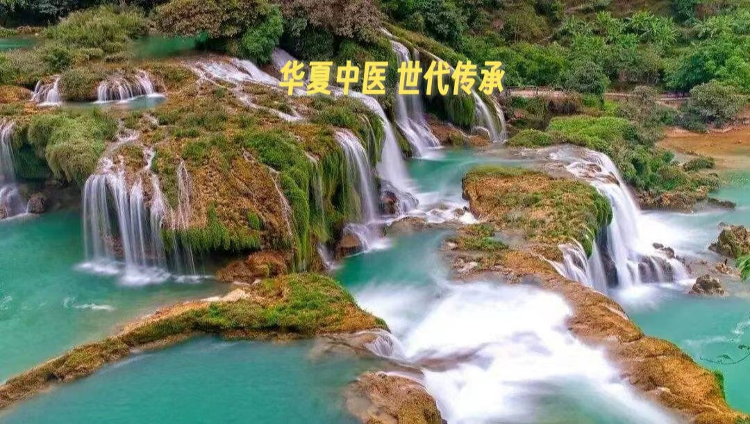 京视网手机台《非遗频道》华夏中医《黄帝内经》世代传承第四集（白话文）