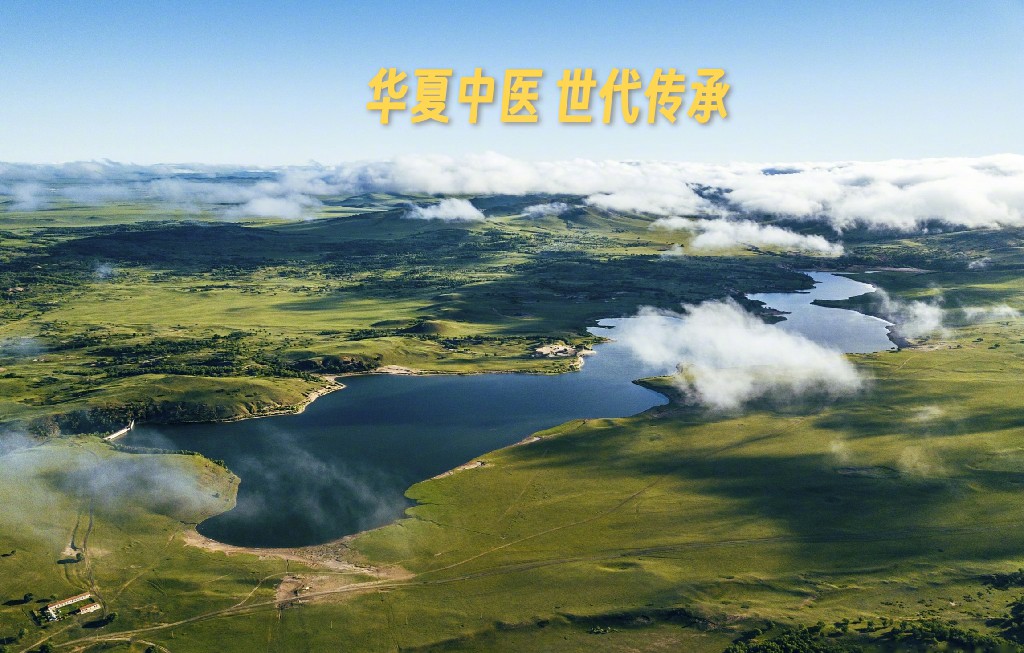 京视网手机台《非遗频道》华夏中医《黄帝内经》世代传承第四集（原文）