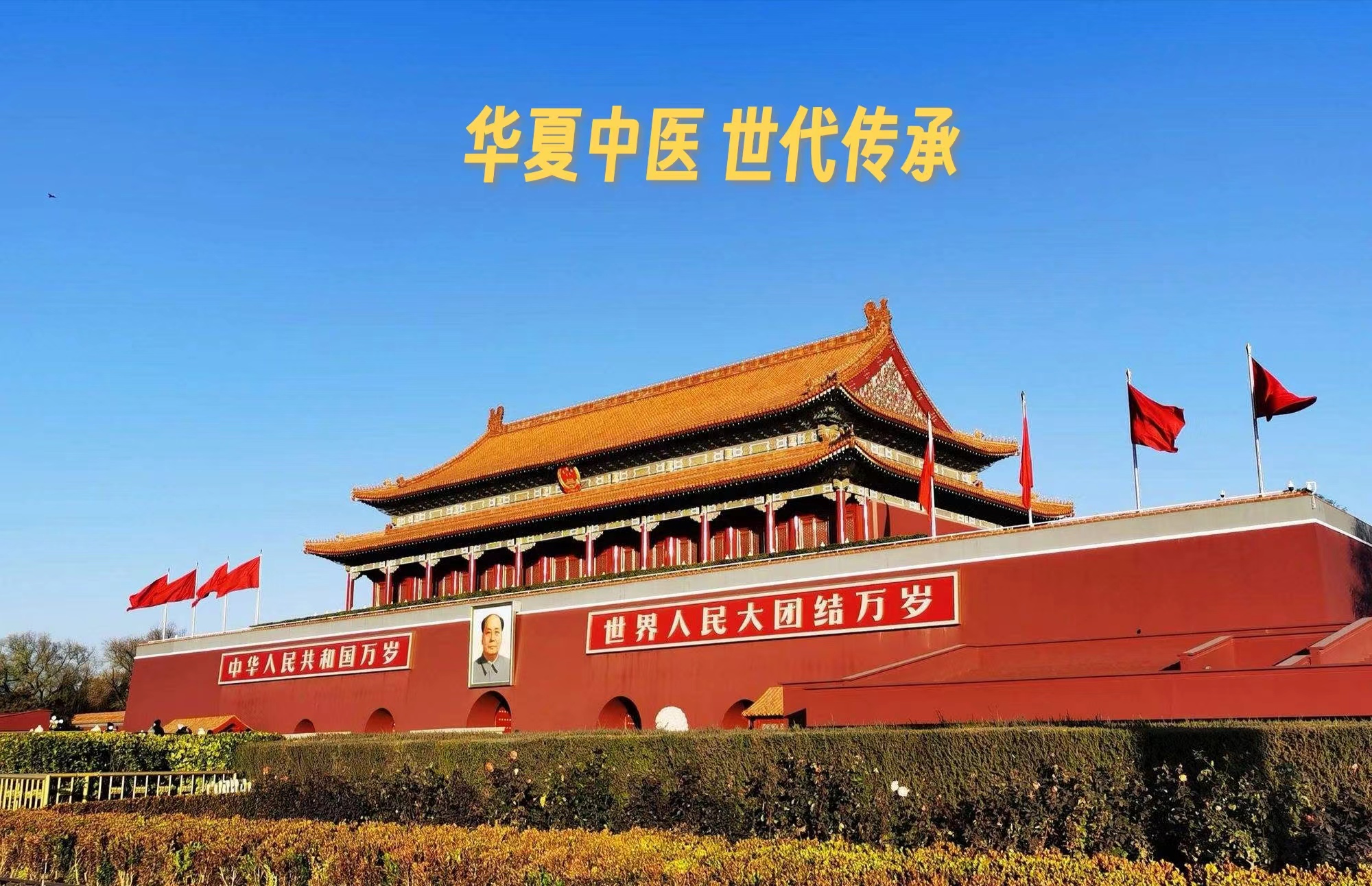 京视网手机台《非遗频道》华夏中医《黄帝内经》世代传承第三集（白话文）