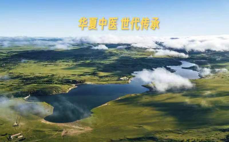 京视网手机台《非遗频道》华夏中医《黄帝内经》世代传承第三集（原文）