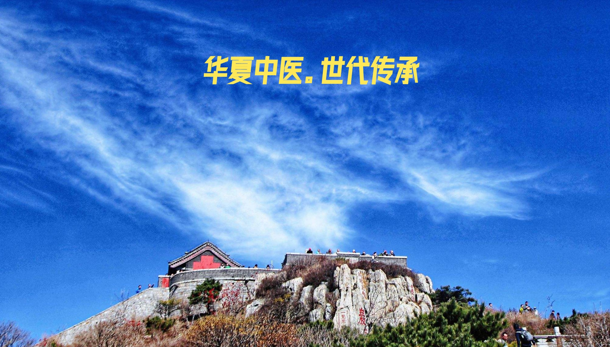 《黄帝内经》原文第五集下集