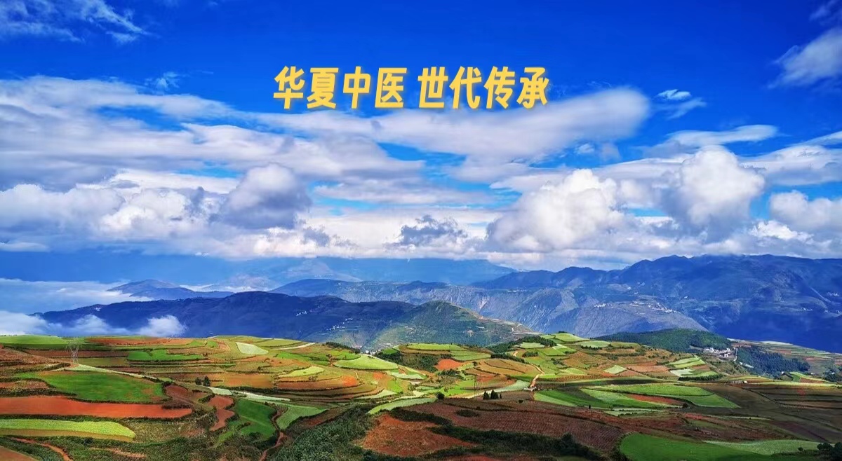 《黄帝内经》第九集（原文）