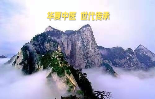 《黄帝内经》白话文第五集下集