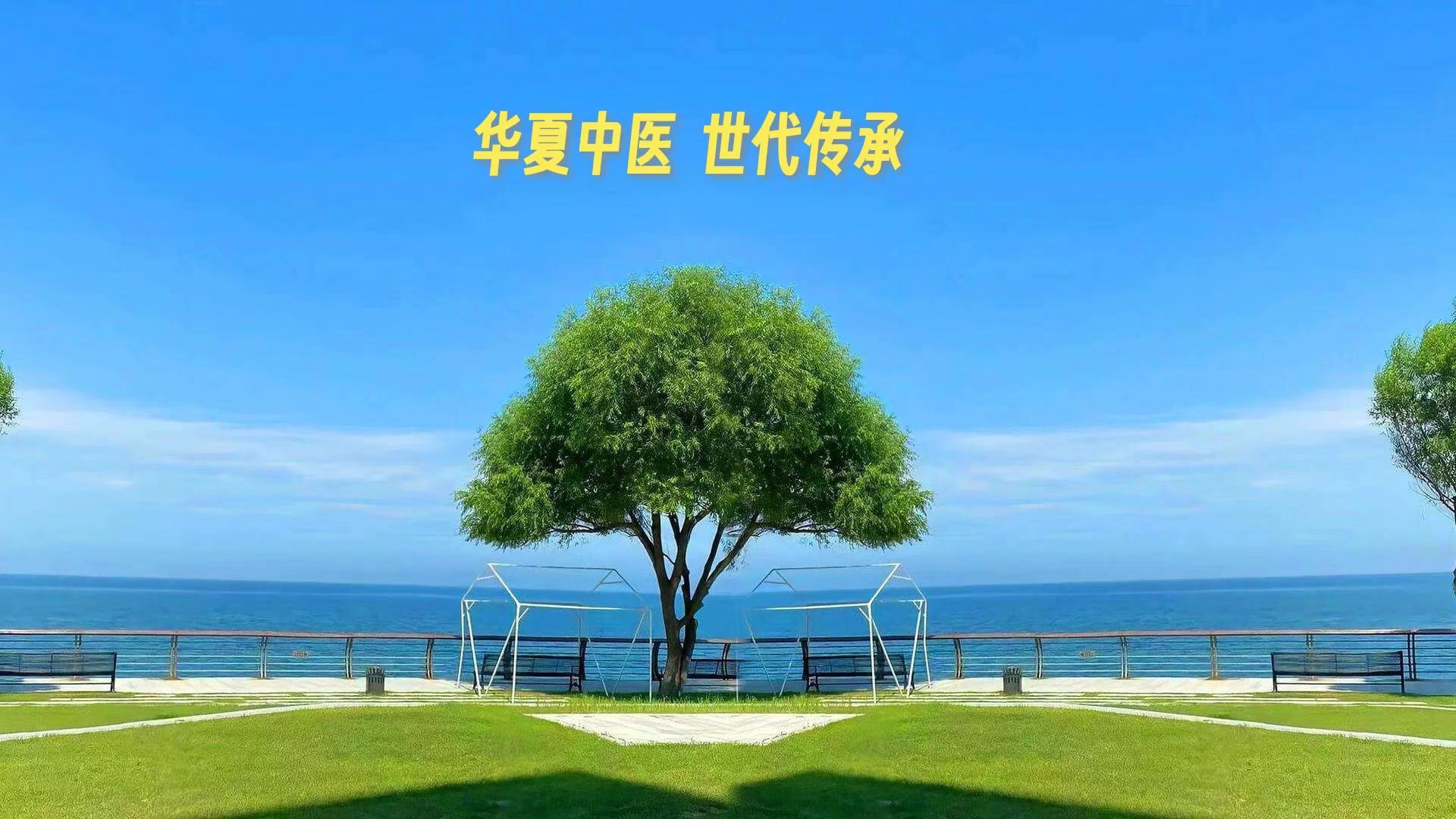 《黄帝内经》第十五集（白话文）