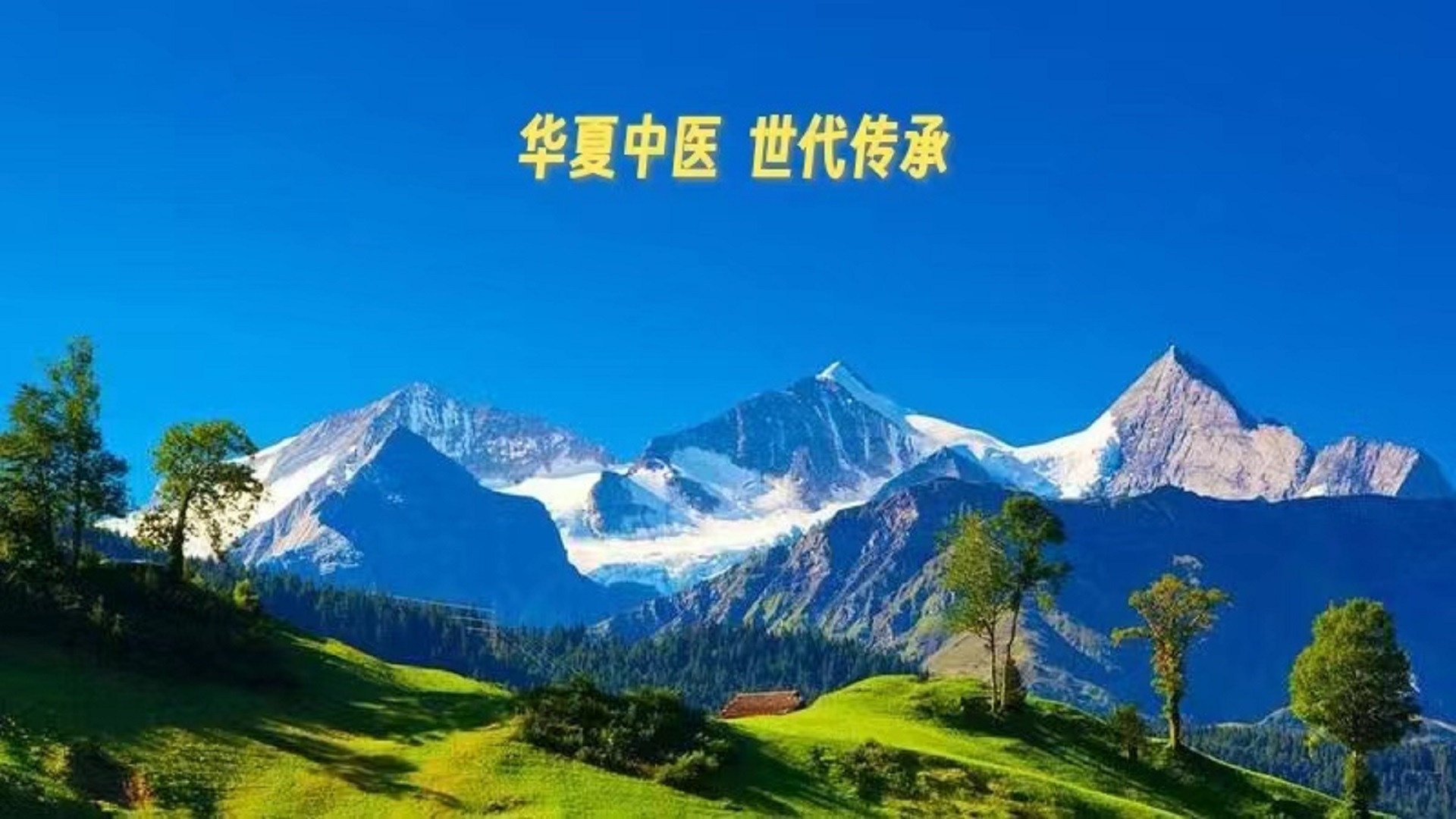 《黄帝内经》第十二集（原文）