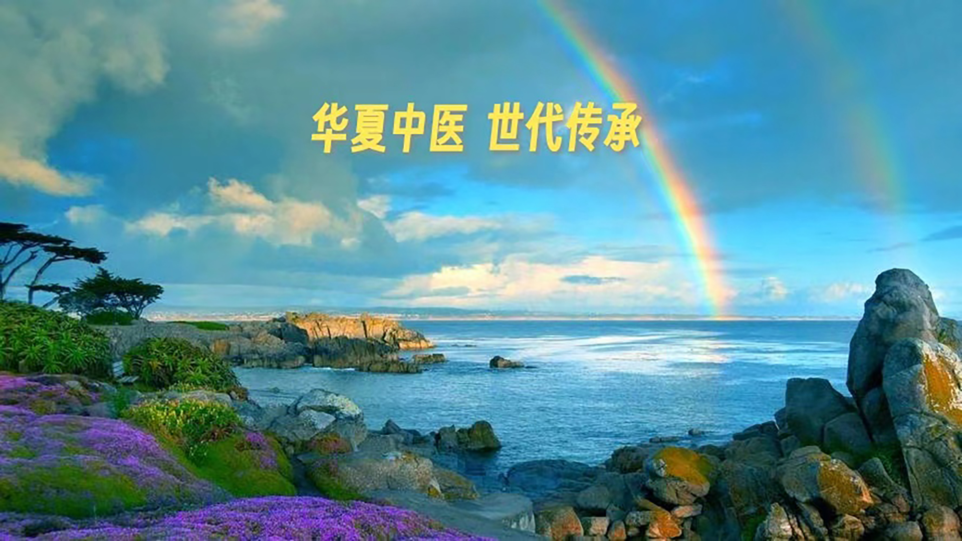 《黄帝内经》第十四集（原文）