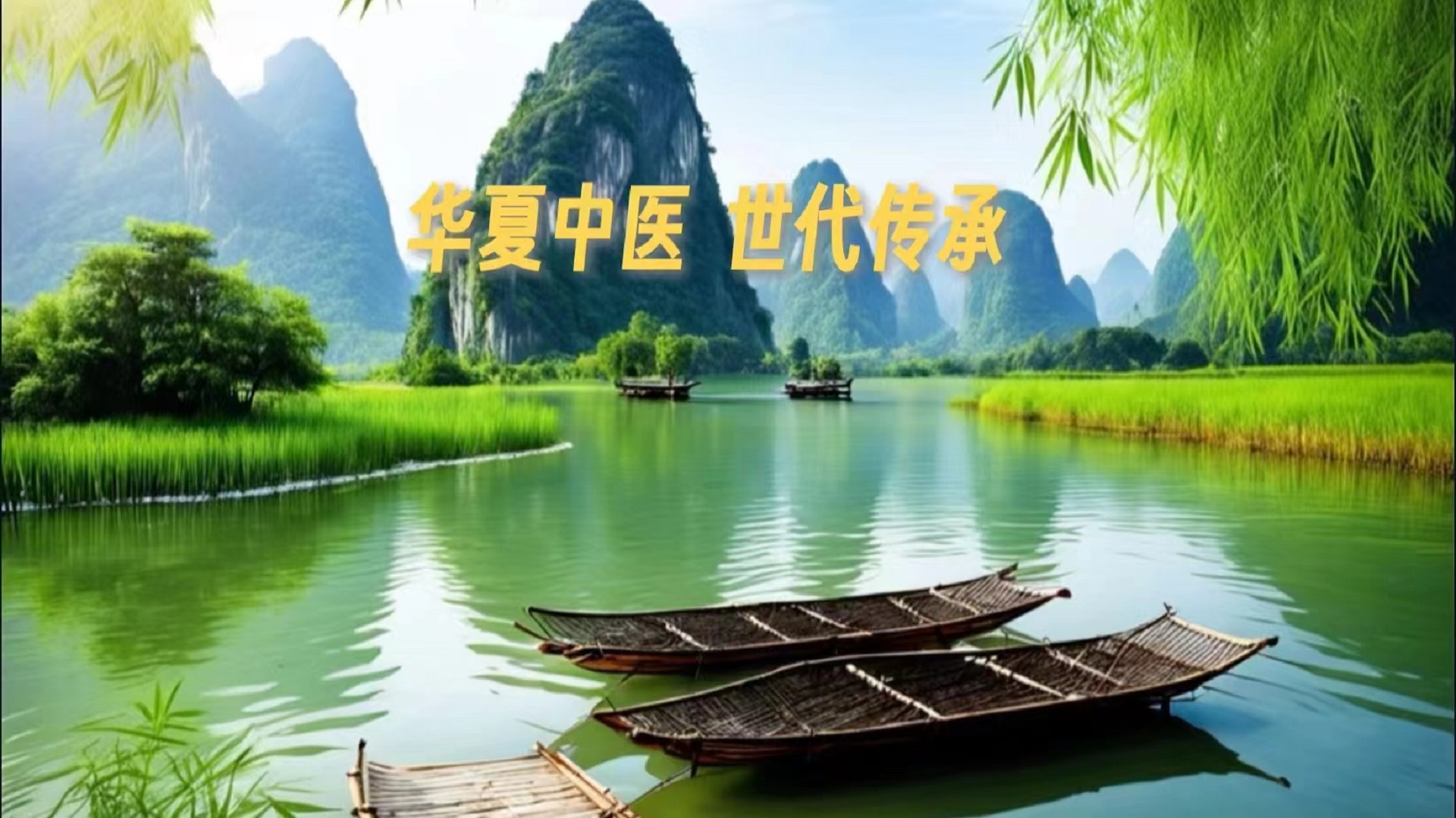 《黄帝内经》第十六集（原文）