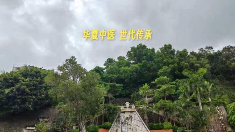 《黄帝内经》第十七集（白话文）下集