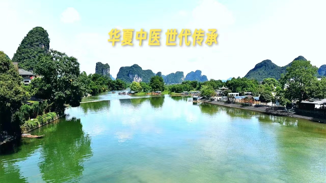 《黄帝内经》第十七集（原文）下集