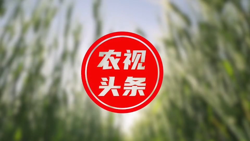 京视网手机台《农视头条》宣传片