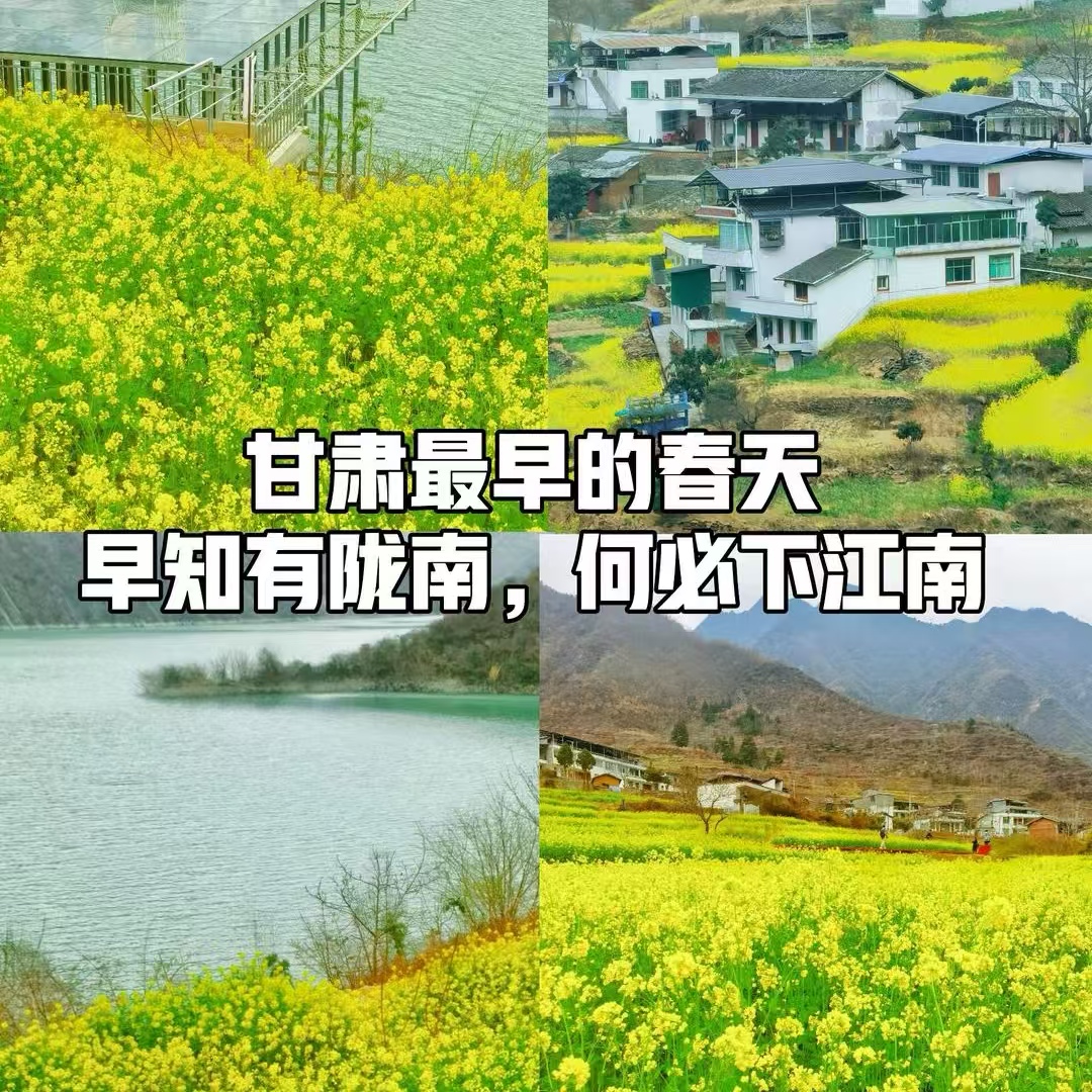 陇南春来早  群芳花枝俏