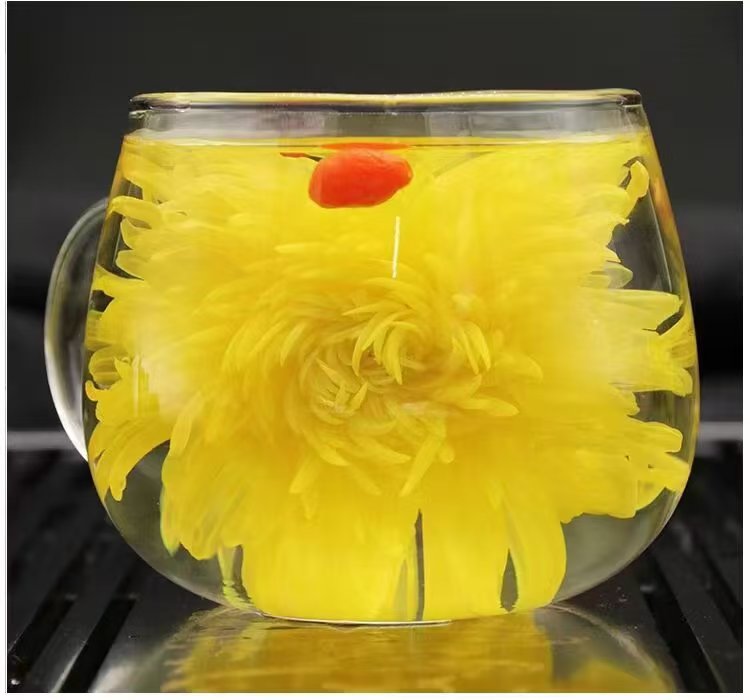 吉卜赛鸿柘皇菊，让您的茶杯独享尊贵