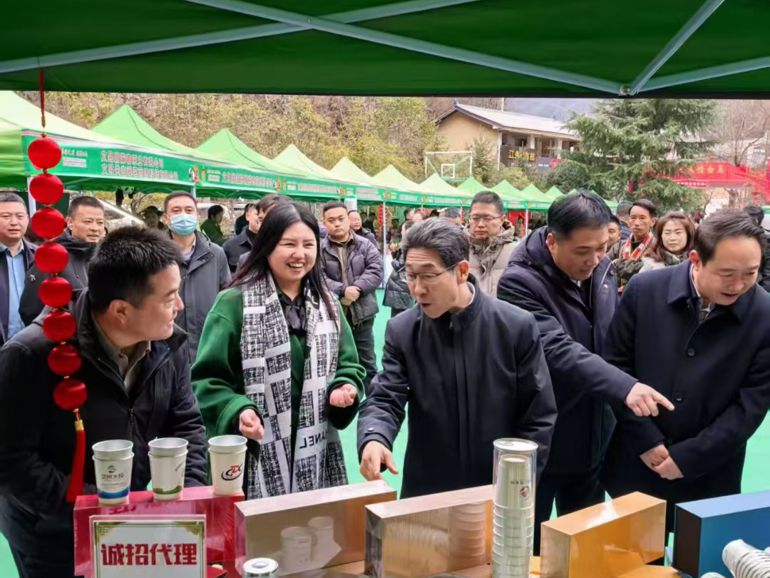 陇上茶韵 | 刘小英与她的陇南茶香