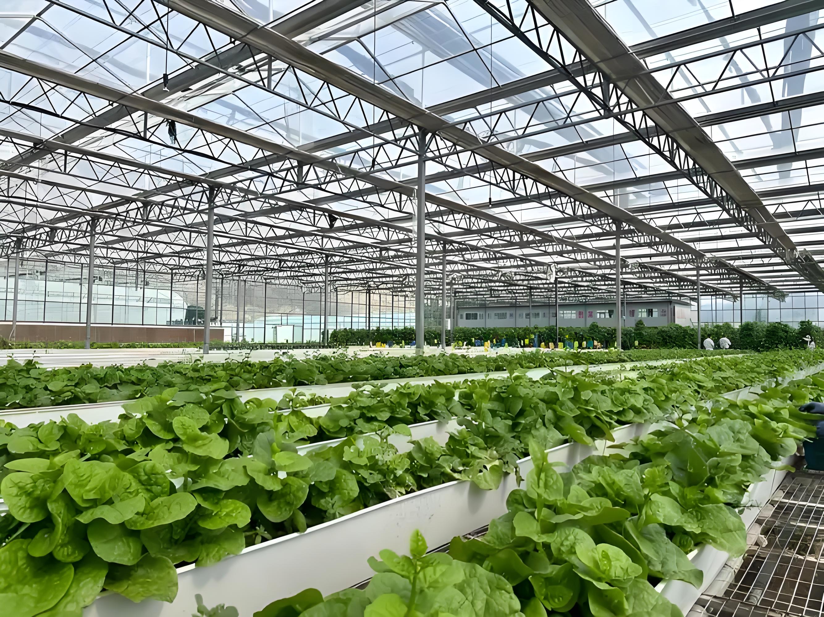 皋兰什川父女携手书写农业新质生产力答卷