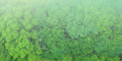 第三轮第四批中央生态环境保护督察全面启动 严禁“一律关停”“先停再说”等敷衍应对做法