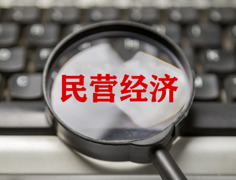 为民营经济科技创新发展提供坚实法治保障