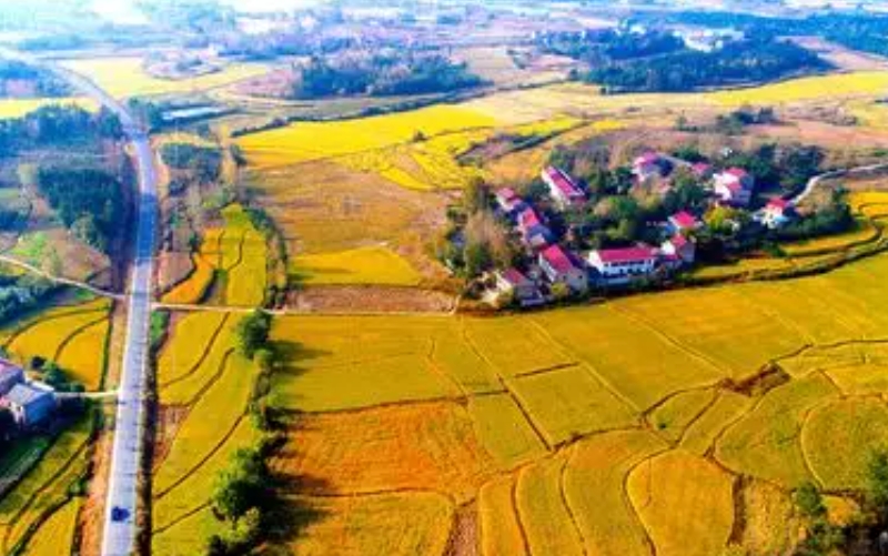 最高法发布《中国环境资源审判（2024）》 守牢美丽中国建设安全底线