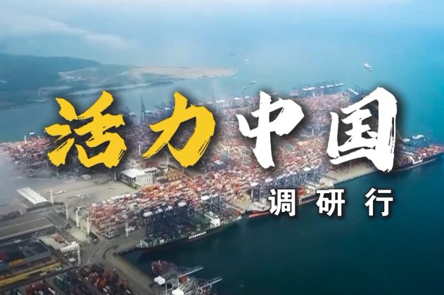 2025年“活力中国调研行”主题采访活动即将启动