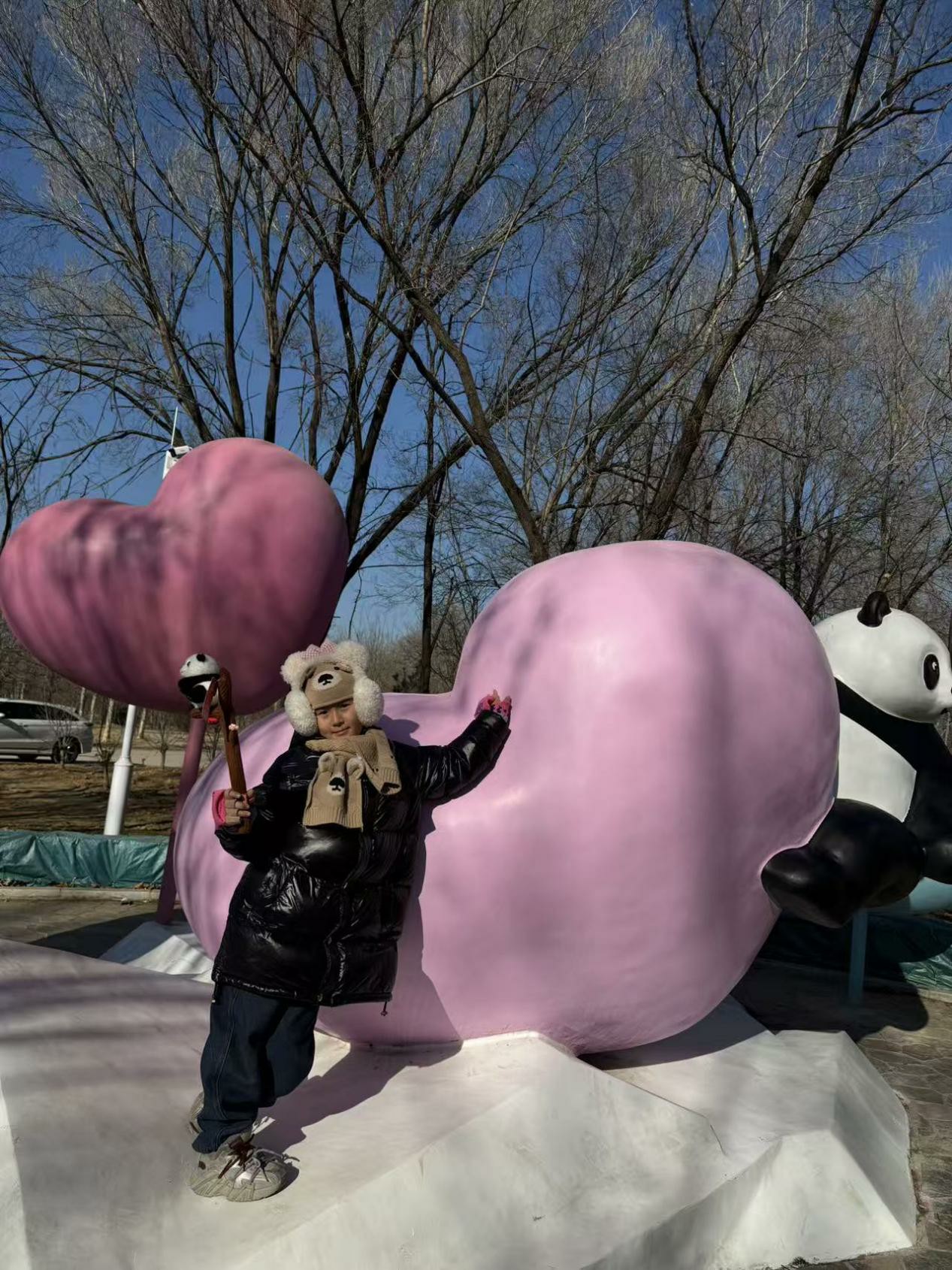 野生动物园里的国宝萌趣