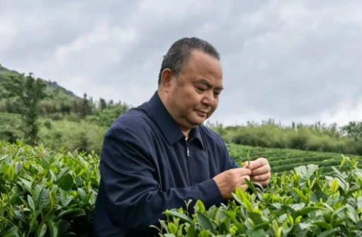 罗大友的茶文化学术研究与传播及“四茶体系”