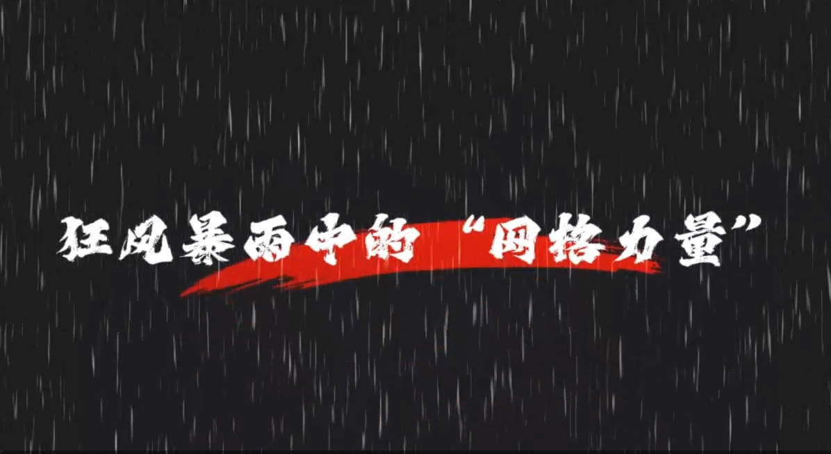 狂风暴雨中的“网格力量”