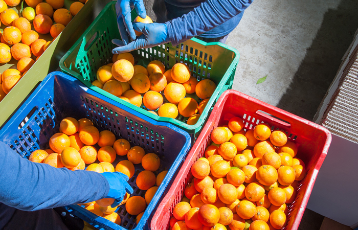 svg+xml;utf8,<svg xmlns=