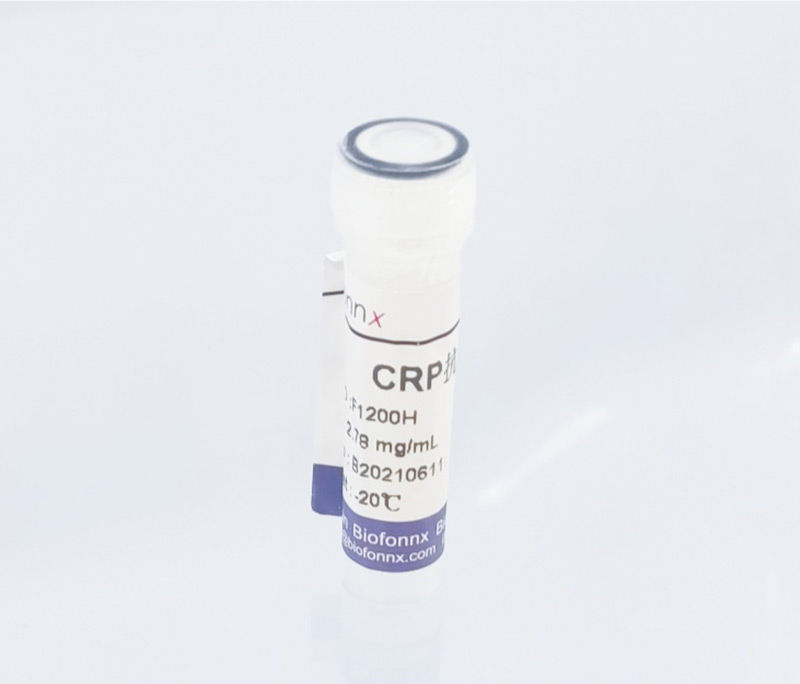 C反应蛋白 C-reactive Protein