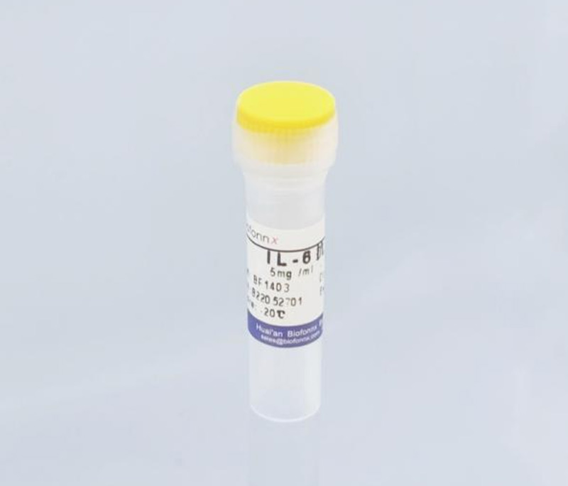 白介素-6 Interleukelin 6