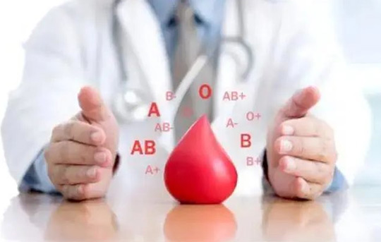 抗人红细胞抗体（RBC)