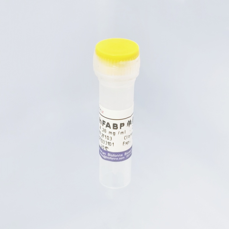 心型脂肪酸结合蛋白 Heart-type Fatty Acid Binding Protein