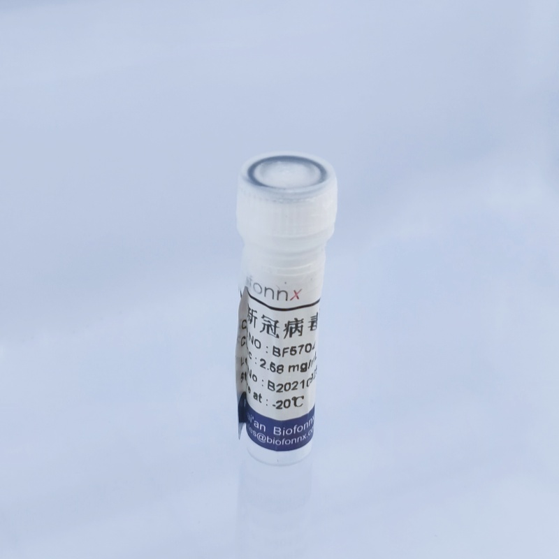 重组新冠病毒核衣壳抗原