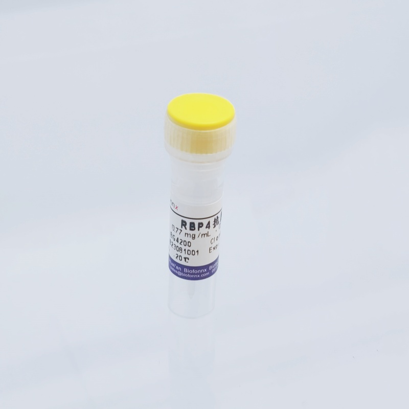 视黄醇结合蛋白4，，Retinol Binding Protein 4