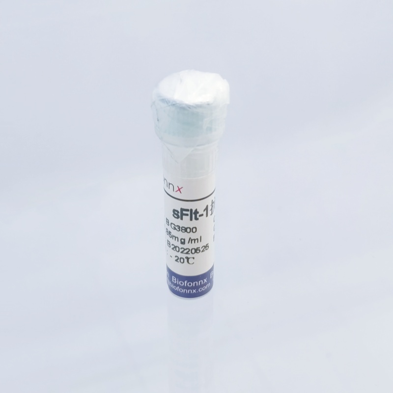可溶性FMS样酪氨酸激酶1 Soluble FMS-like tyrosine kinase-1